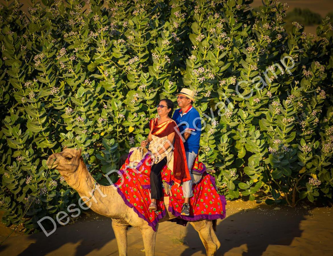 Отель Desert Dream Royal Camp Джайсалмер Экстерьер фото